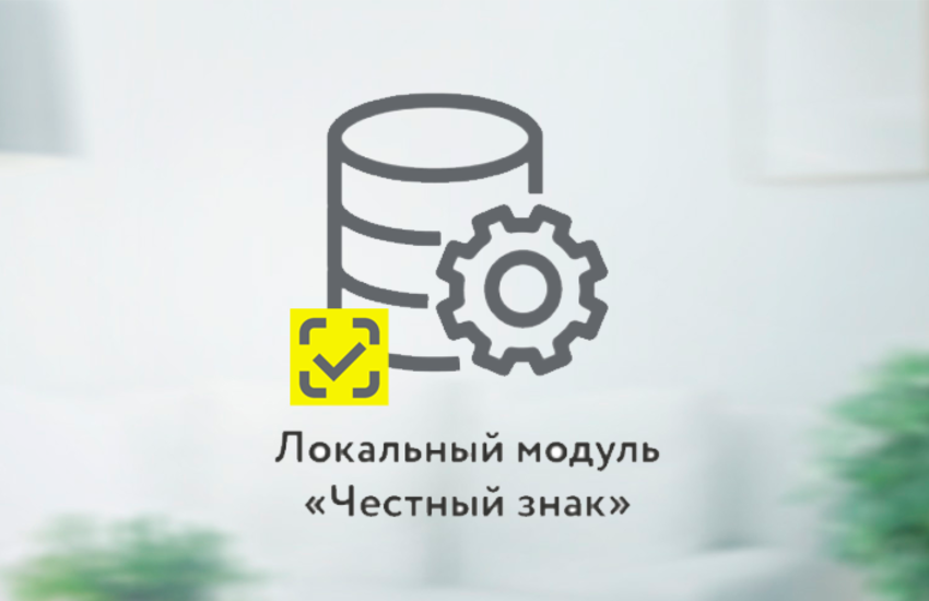 локальный модуль чз